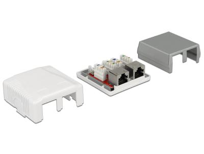 DeLOCK Network Wall Outlet 2 Port Cat.6A LSA montagedoos