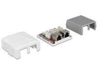 DeLOCK Network Wall Outlet 2 Port Cat.6A LSA montagedoos - thumbnail