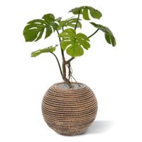 Monstera kunstplant 50cm - thumbnail