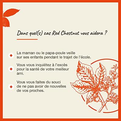 Bach Flower Remedies Rode Kastanje 25