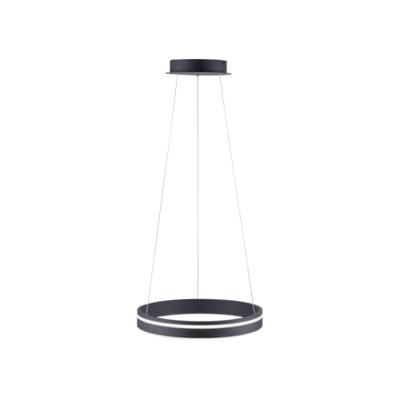 Paul Neuhaus Design hanglampQ-Vito Ø 40cm antraciet - 8410-13