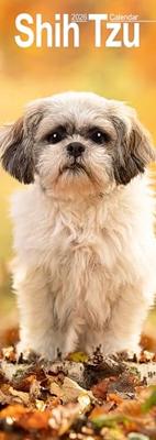 Shih Tzu Kalender 2026 Slimline Shih Tzu Kalender 2026 Slimline