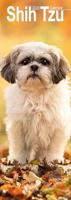 Shih Tzu Kalender 2026 Slimline - thumbnail