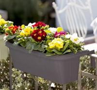 Bama Fioriera Bloem-Balkonbak 60x20x18.5 cm Antraciet - thumbnail