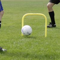 Cawila Precisiebogen Vast 00540094 - thumbnail