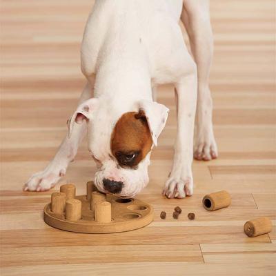 Nina Ottosson Hondendenkspel dog smart composite