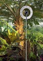 TFA Dostmann Lollipop 12.2055.10 Thermometer - thumbnail