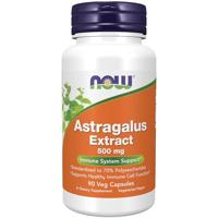 Astragalus Extract 500mg 90v-caps - thumbnail