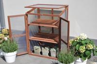 Rosemarys Choice kweekkas - thumbnail