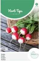 Zaden Radijs Gaudry 3 Hortitops - Hortitops - thumbnail