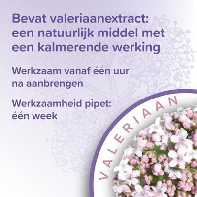 Beaphar No Stress Spot On hond 3 pipetten