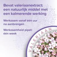 Beaphar No Stress Spot On hond 3 pipetten - thumbnail