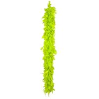 Boa lime green - thumbnail
