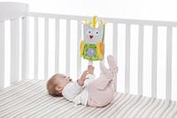 Musical sleepy owl - thumbnail