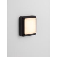 Lyora Vierkante wandlampAppia antraciet - 9030597 - thumbnail