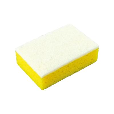 Protecton insectenspons (1 stuk)