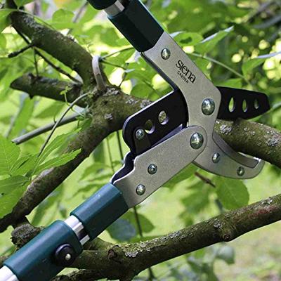 Siena Garden CL2101 Takkenschaar Amboss
