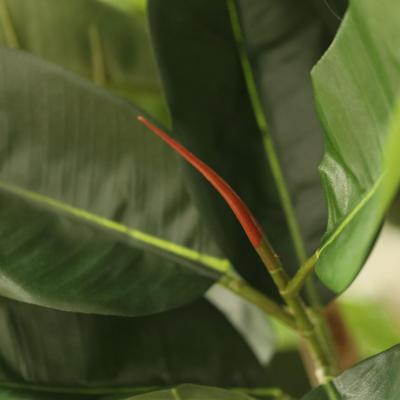 Ficus Elastica Robusta Kunstboom Deluxe 230cm