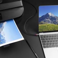 LINDY 36941 USB-kabel USB 2.0 USB-C stekker, USB-B stekker 1.00 m Zwart - thumbnail