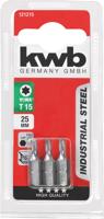 Schroefbit 1/4 inch torx T15 25 mm 3 stuks kaart Eurofix - Eurofix - thumbnail