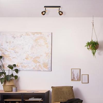 Brilliant PlafondlampDaintree 2-lichts zwart - 99711/76