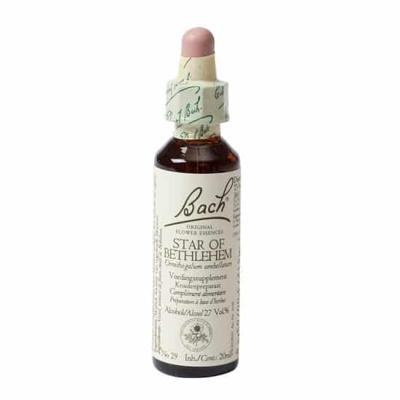 Bach Flower Remedies Vogelmelk 29 Bach Flower Remedies Vogelmelk 29