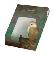 Memo blocnote: Grote uil op scherm, Jan Mankes, Museum More - thumbnail