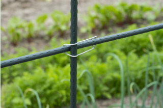 Kruisverbindingsstuk voor plantenstokken 12-16 mm