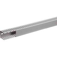 Hager DNG5005007030B Kabelgoot (l x b x h) 2 m x 50 mm x 50 mm 2 m Steen-grijs