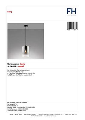 Fischer & Honsel HanglampSamu smoke glas - 60895