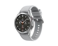 Smartwatch Samsung SM-R895FZSAPHE 1,4" 16 GB Zilverkleurig 1,4" - thumbnail
