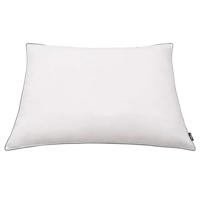 VidaXL Kussens 2 st licht 70x60 cm dons-/verenvulling wit - thumbnail
