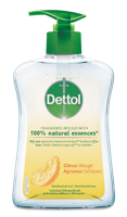 Dettol Dettol Wasgel Citrus 250ml - thumbnail