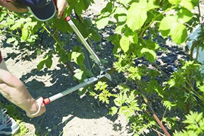 Felco 210A-60 takkenschaar