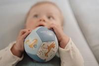 Little Dutch forest friends softbal - thumbnail