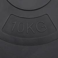 Halterschijven 4 st 30 kg beton - thumbnail