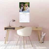 American Pit Bull Terrier Kalender 2026 - thumbnail