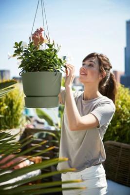 Elho Hangschaal Greenville Ø24cm - Blad Groen