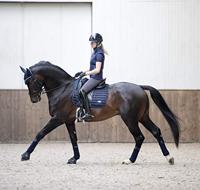 LeMieux Loire classic satin Zadeldek donkerblauw maat:dr full - thumbnail