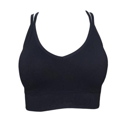 BOX OF 18 SEAMLESS SPORTS BRAS TACCHINI BLACK