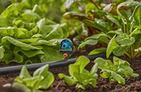 Micro-sproeier Gardena Micro-Drip 13324-20 Plastic 13 mm - thumbnail