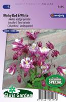Aquilegia zaden Winky Red & White akelei - thumbnail