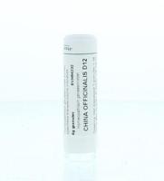 China officinalis D12 - thumbnail