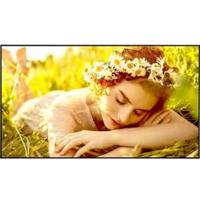 Videowall Monitor LG 86UL5Q-E.AEUQ 50" Ultra HD - thumbnail