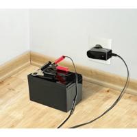 VOLTCRAFT BC800 Loodaccu-lader 6 V, 12 V Laadstroom (max.) 0.8 A - thumbnail