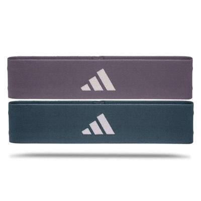 Elastische Weerstandsbanden Adidas ADTB-10711-2-NL Paars