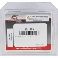 ALL BALLS Racing wiellagerset wheel bearing sets 25-152 complete with simmerrings - thumbnail