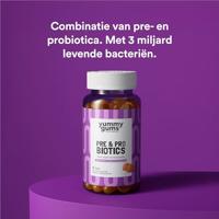 Yummygums Pre & Pro Biotics Gummies - thumbnail