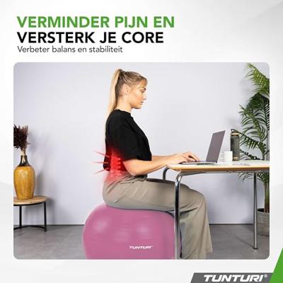Fitnessbal Anti-Burst 75cm Purple