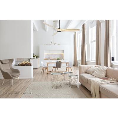 CasaFan ECO AIRSCREW 152 MS-NT Plafondventilator 28 W (Ø x h) 1520 mm x 275 mm Zwart (mat) Met afstandsbediening, Met wintermodus CasaFan ECO AIRSCREW 152 MS-NT Plafondventilator 28 W (Ø x h) 1520 mm x 275 mm Zwart (mat) Met afstandsbediening, Met wintermodus